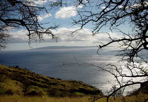 Morning commute on the Pali